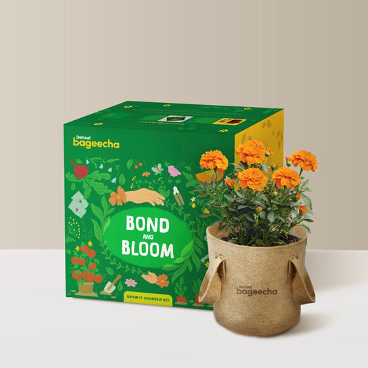 Bond and Bloom