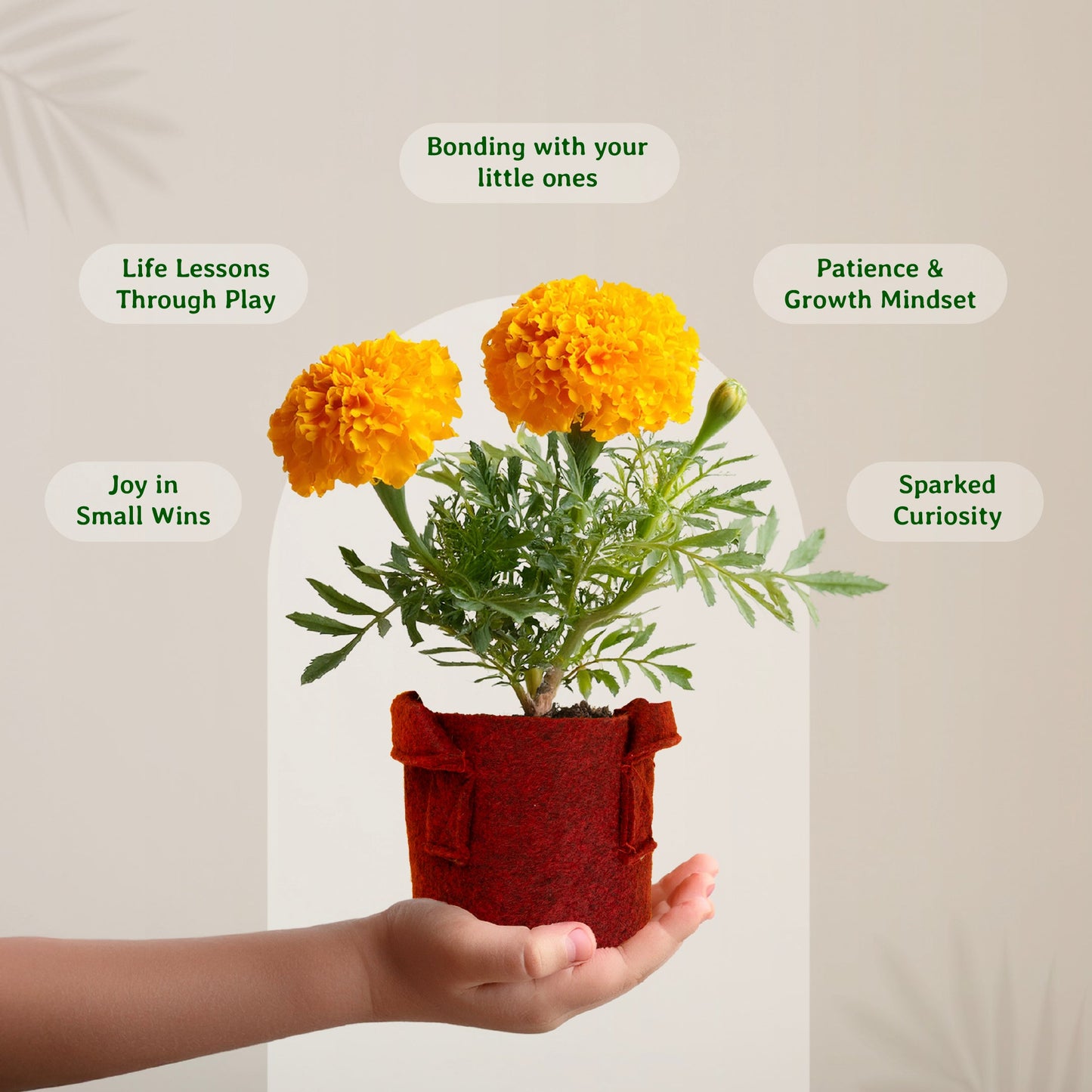 Bond and Bloom