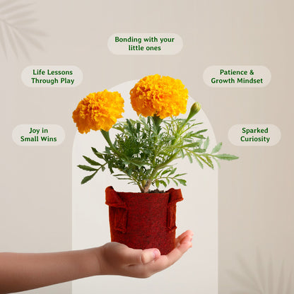 Bond and Bloom